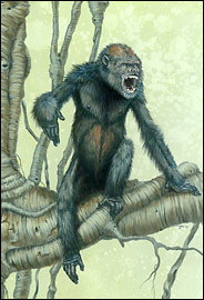 artist's representation of Pierolapithecus catalaunicus